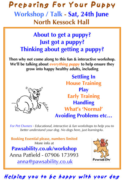 preparing for puppy workshop