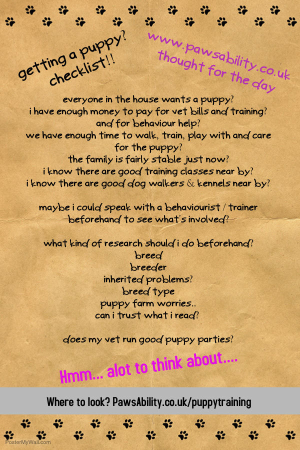 getting_a_puppy